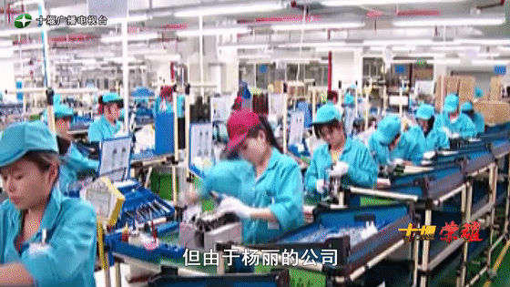 創(chuàng)業(yè)是一條無比艱辛的路，創(chuàng)新更是無限風(fēng)光在險峰。在男性為主導(dǎo)的商海里，女性創(chuàng)業(yè)創(chuàng)新需要鼓足十萬分的勇氣和力量，是挑戰(zhàn)未來成功的小概率事件。而十堰姑娘楊麗便是這小概率事件中的一個傳奇，也是女性創(chuàng)業(yè)創(chuàng)新的榜樣。今天就來認(rèn)識這位傳奇女性-興千田集團(tuán)楊麗。