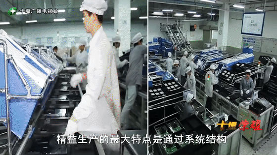 創(chuàng)業(yè)是一條無比艱辛的路，創(chuàng)新更是無限風(fēng)光在險峰。在男性為主導(dǎo)的商海里，女性創(chuàng)業(yè)創(chuàng)新需要鼓足十萬分的勇氣和力量，是挑戰(zhàn)未來成功的小概率事件。而十堰姑娘楊麗便是這小概率事件中的一個傳奇，也是女性創(chuàng)業(yè)創(chuàng)新的榜樣。今天就來認(rèn)識這位傳奇女性-興千田集團(tuán)楊麗。
